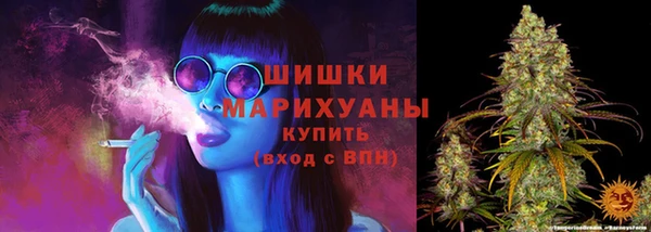 сатива Армянск