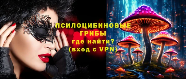 эйфоретик Аркадак