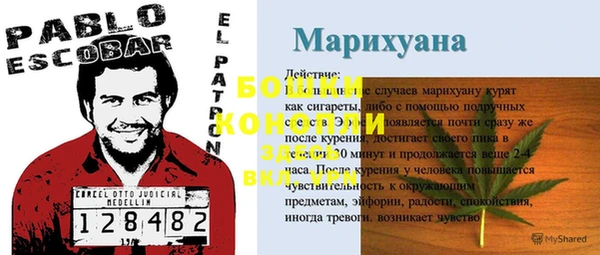 сатива Армянск