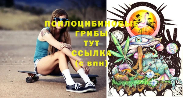 сатива Армянск