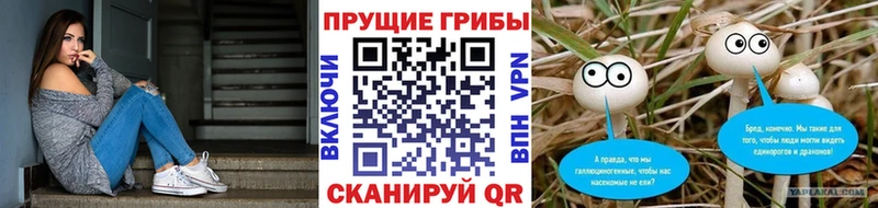 гидра вход  Вихоревка  Галлюциногенные грибы ЛСД 